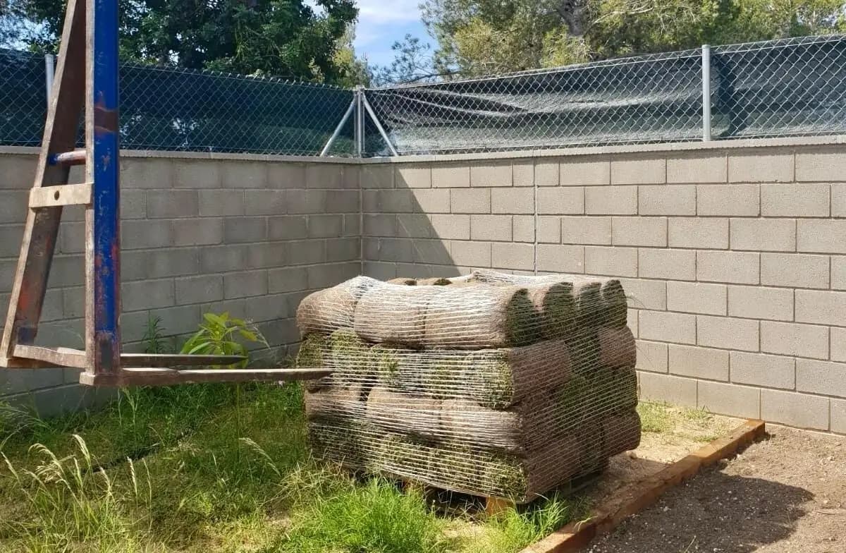 Instalación de césped