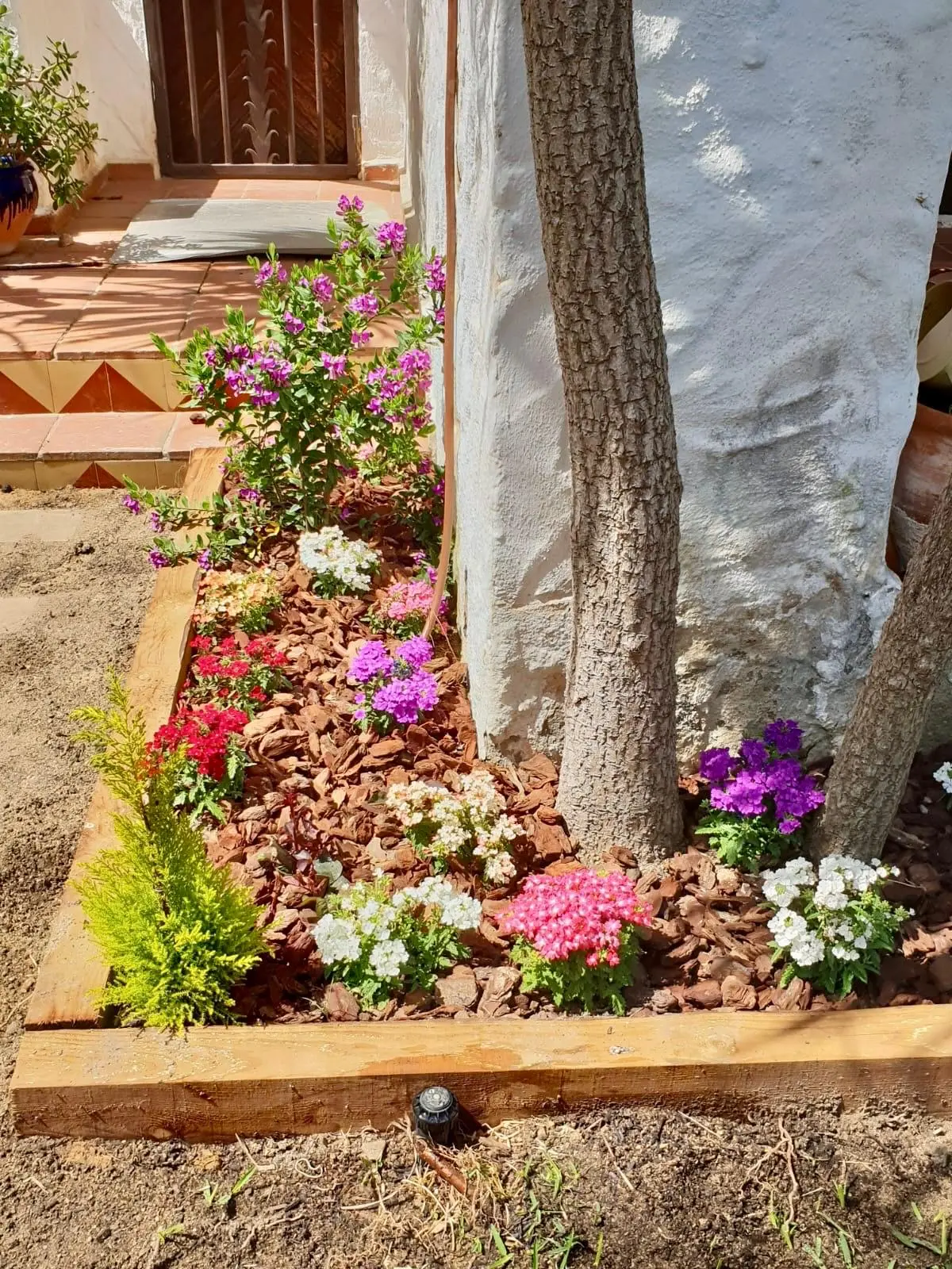 Imatge de servei: Plantació de vegetació